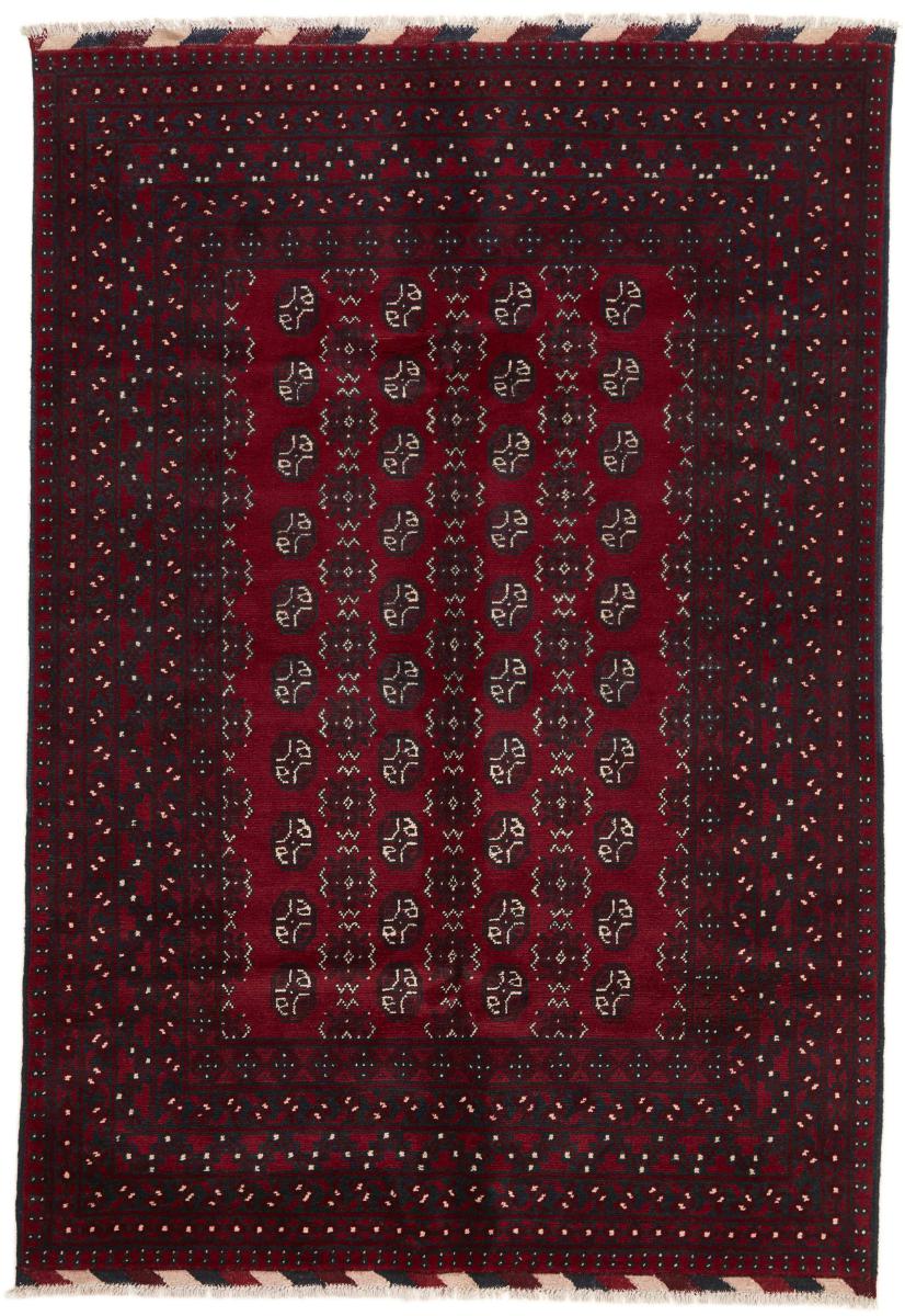 Tapete afegão Afegão Akhche 243x169 243x169, Tapete persa Atado à mão