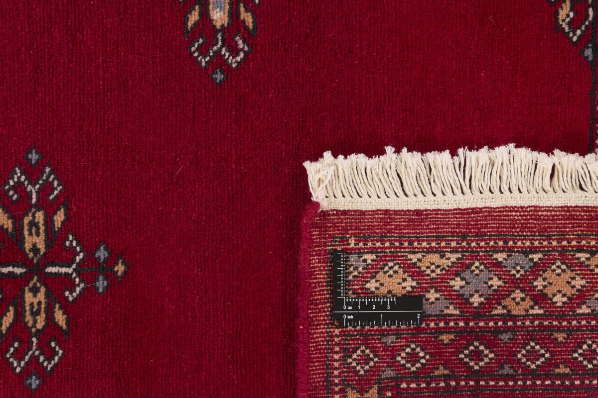Pakistan Buchara 2ply - 1