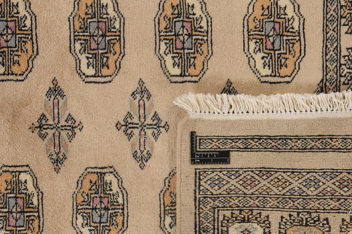 Pakistan Buchara 3ply - 1