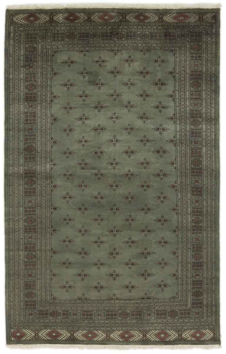 Dywan pakistański Pakistański Buchara 3ply 313x200 313x200, Dywan perski Ręcznie tkane