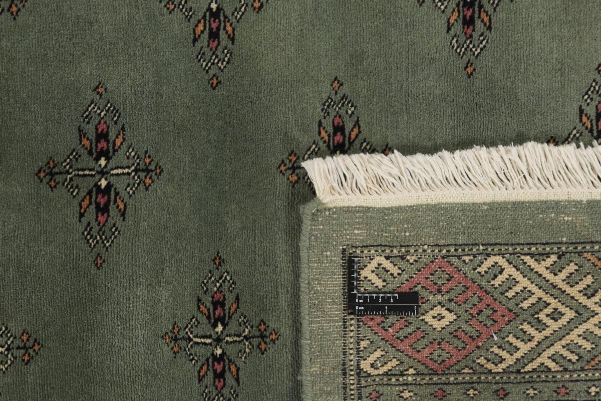 Pakistański Buchara 3ply - 1