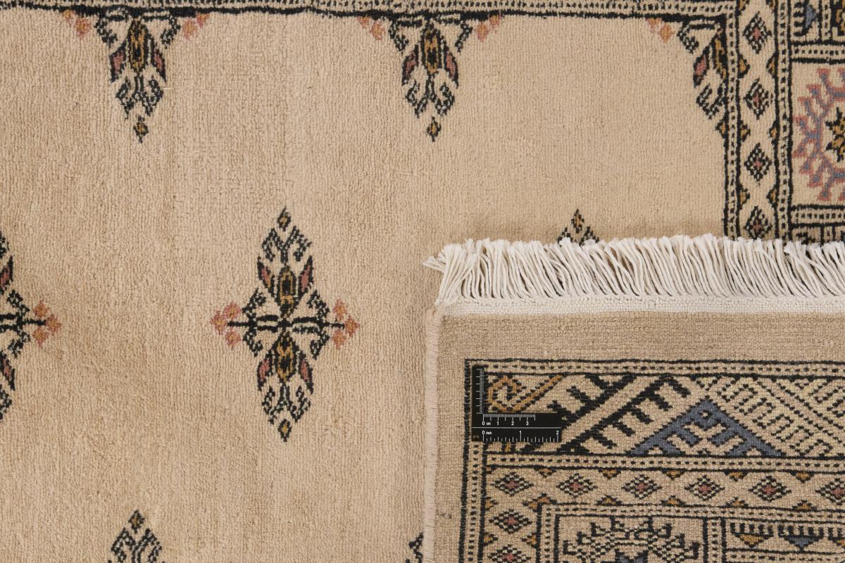 Pakistan Buchara 3ply - 1