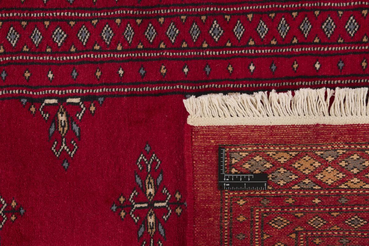 Pakistan Buchara 2ply - 1