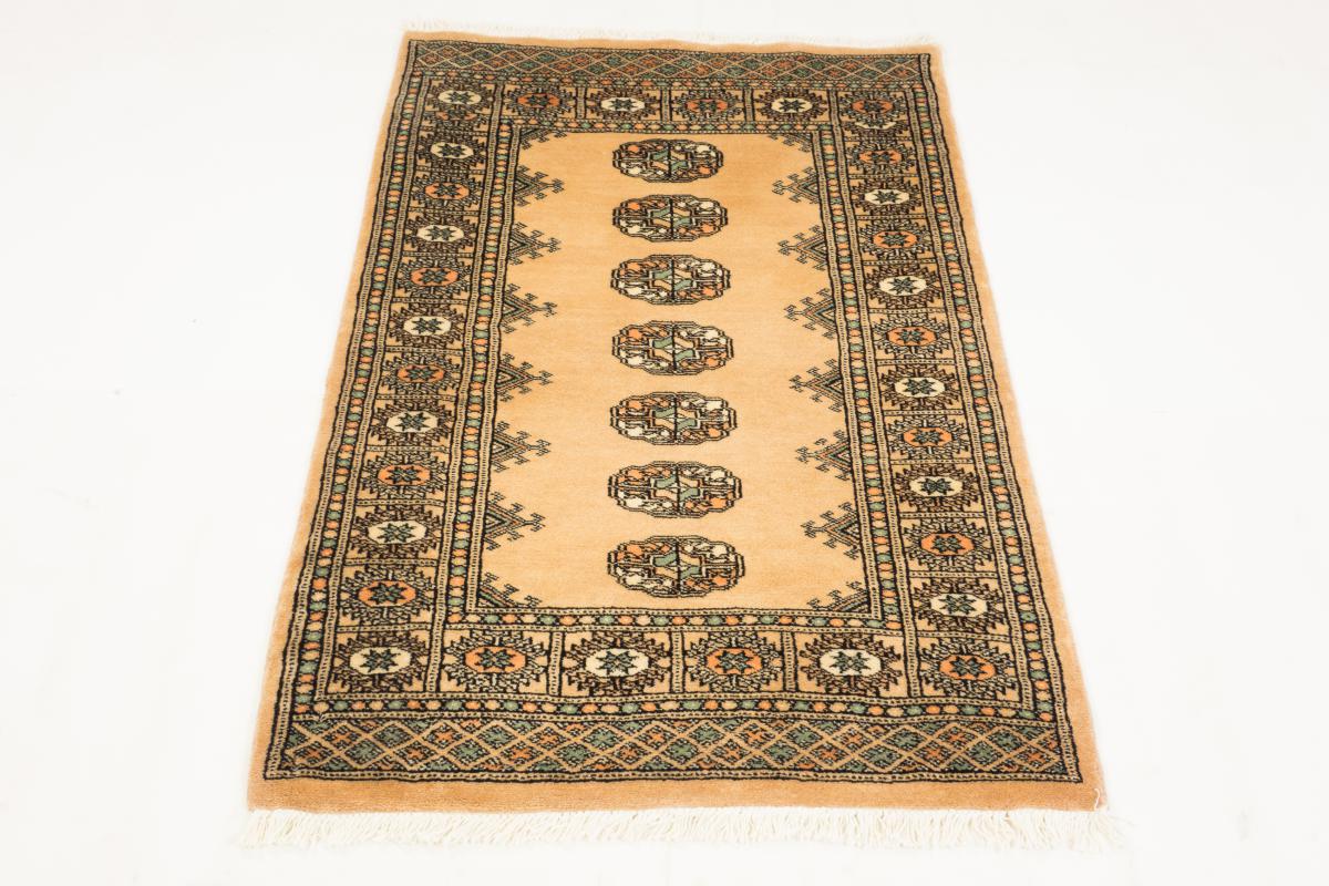Pakistan Buchara 3ply - 1
