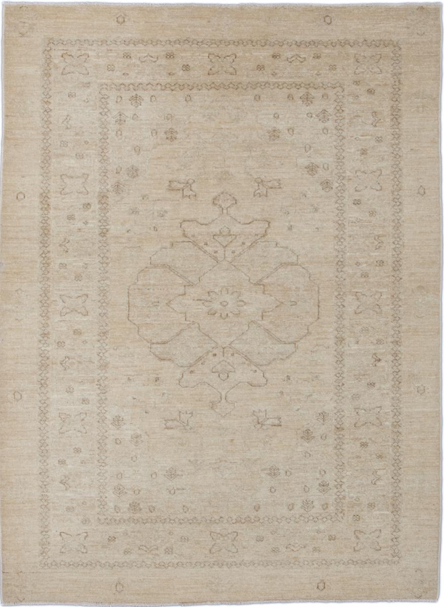 Pakistanilainen matto Arijana Ziegler Farahan 170x125 170x125, Persialainen matto Solmittu käsin