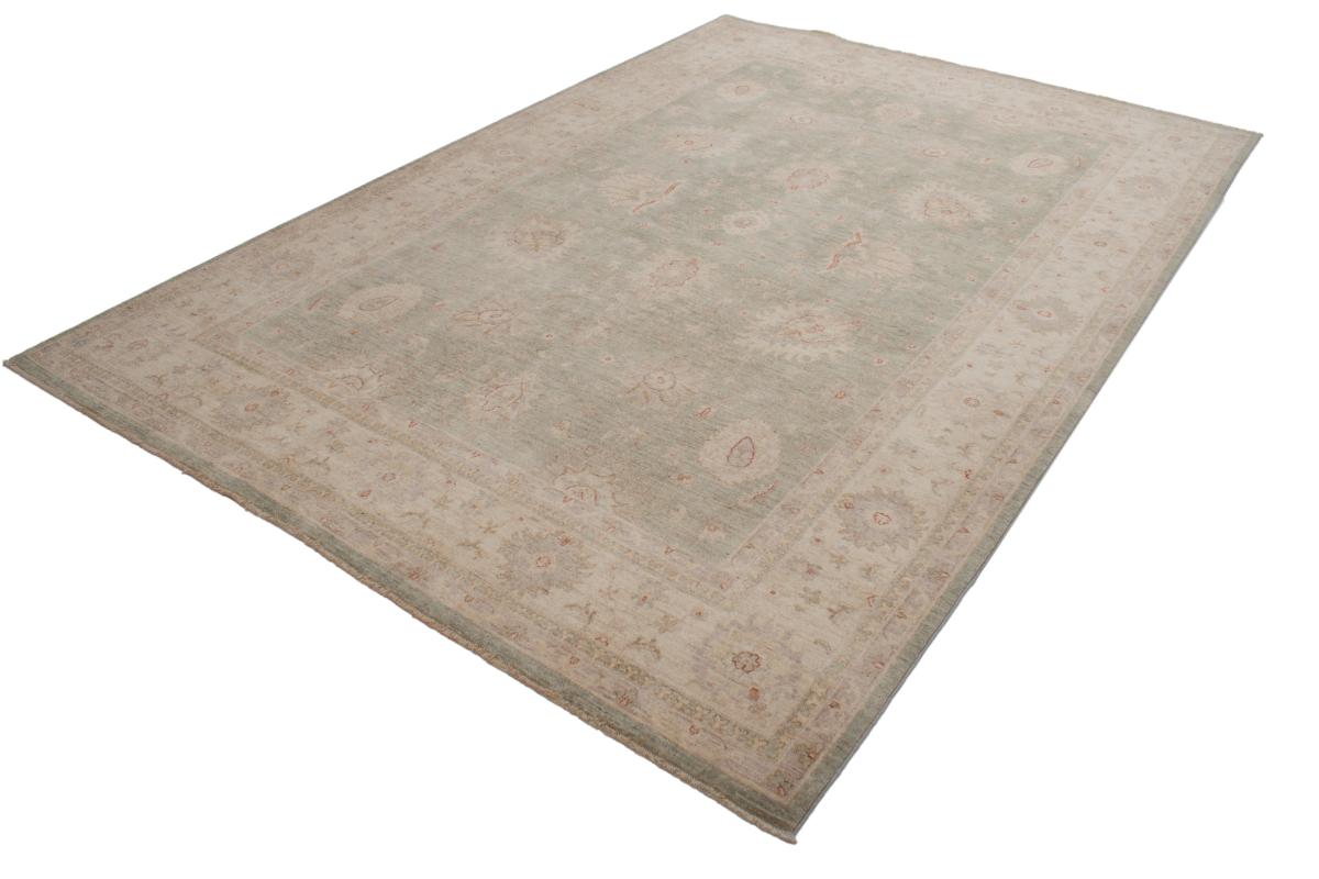 Ziegler Farahan - 1