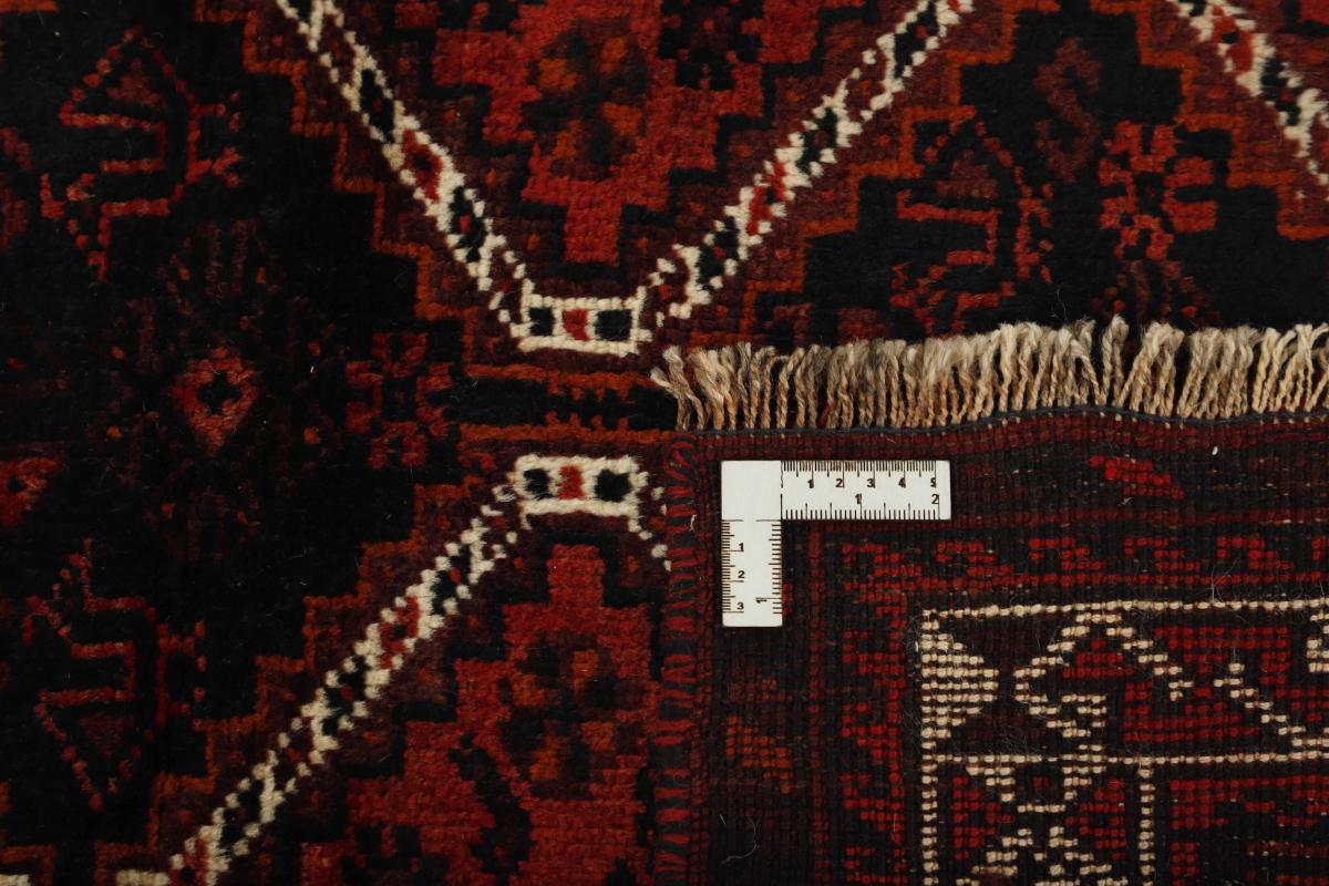 Shiraz - 1