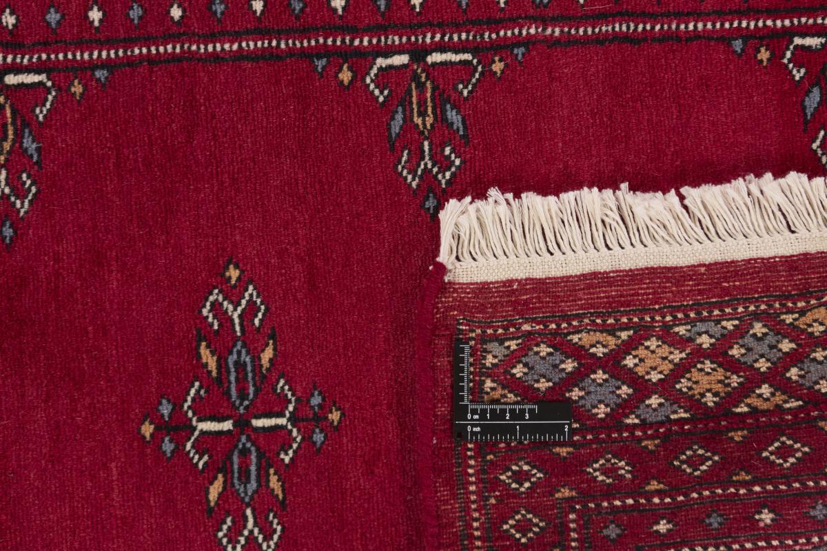 Pakistan Buchara 2ply - 1