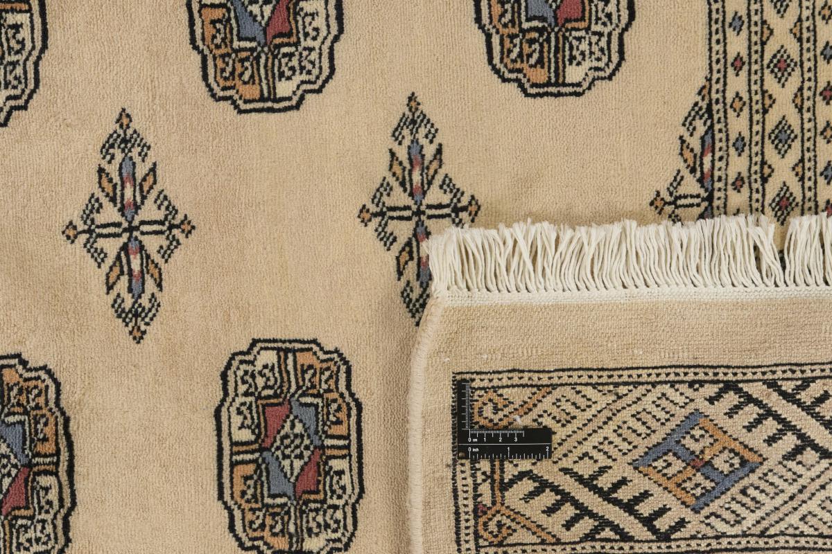 Pakistański Buchara 3ply - 1