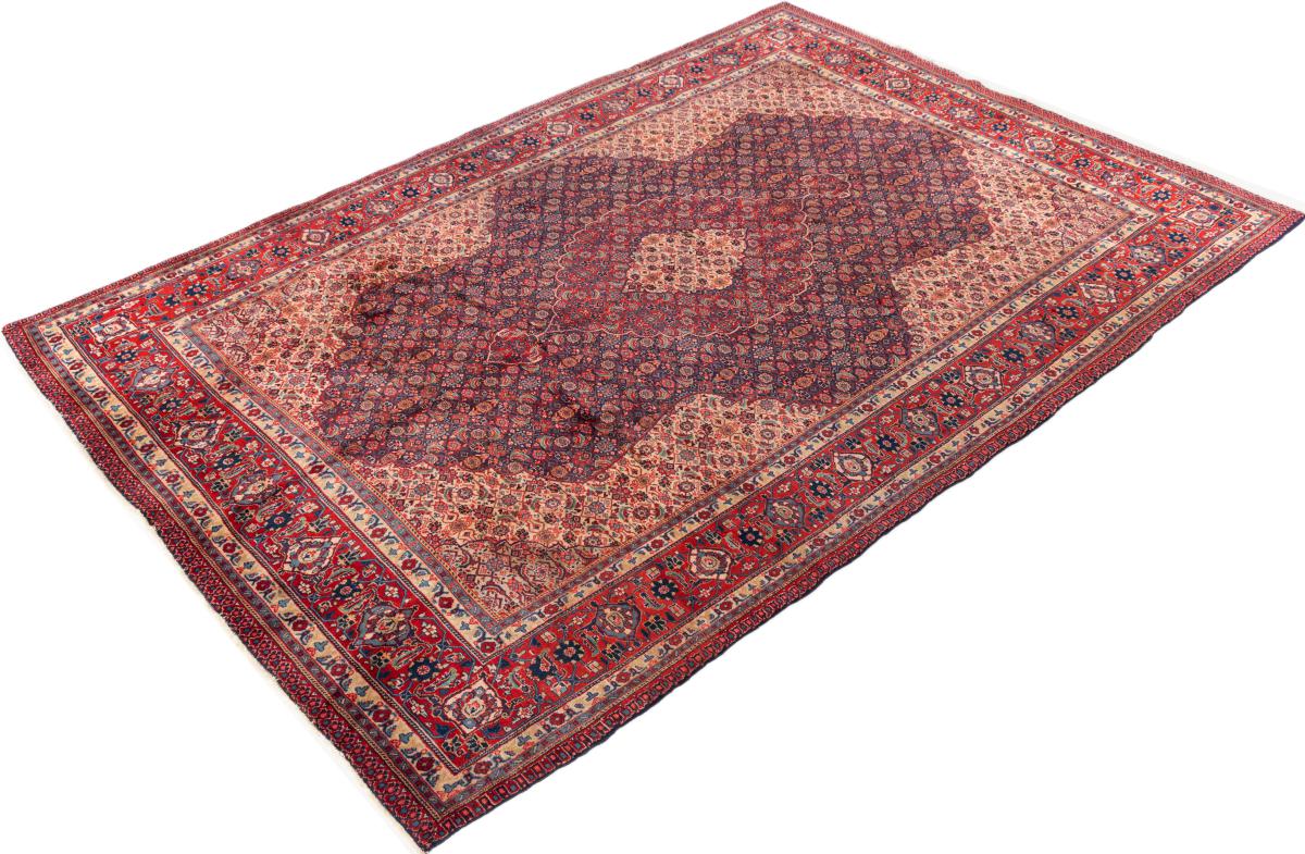 Tabriz Mashayekhi - 1