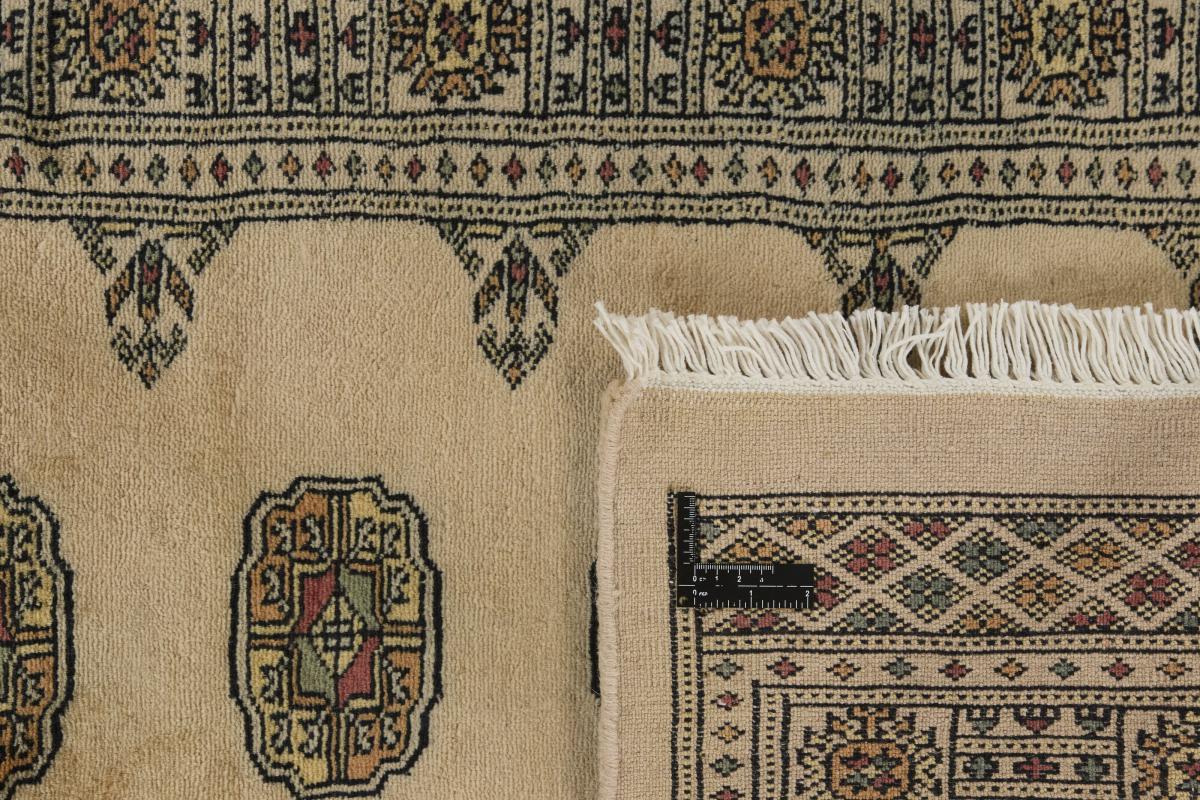 Pakistan Buchara 3ply - 1
