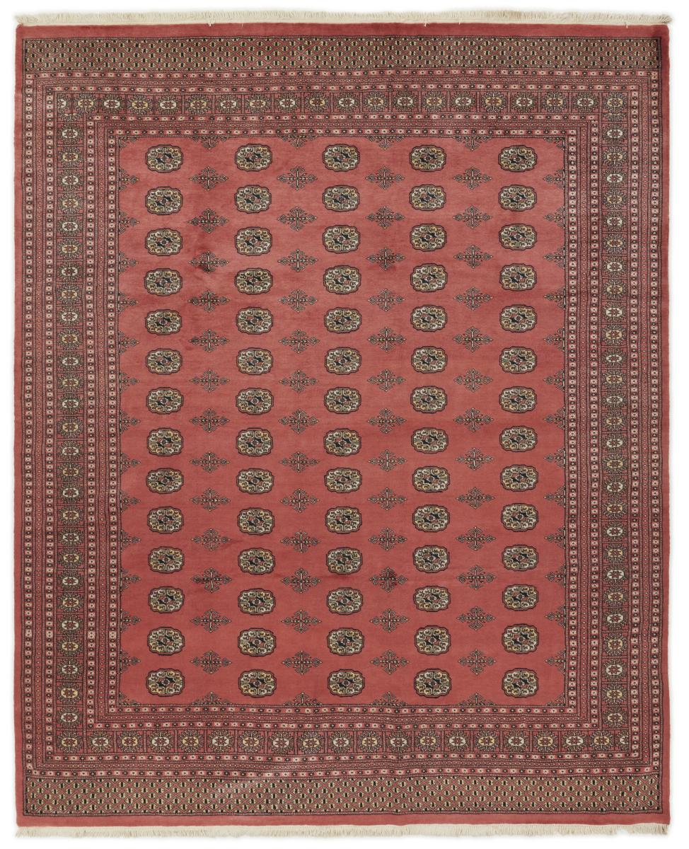 Alfombra pakistaní Pakistan Buchara 2ply 306x251 306x251, Alfombra persa Anudado a mano