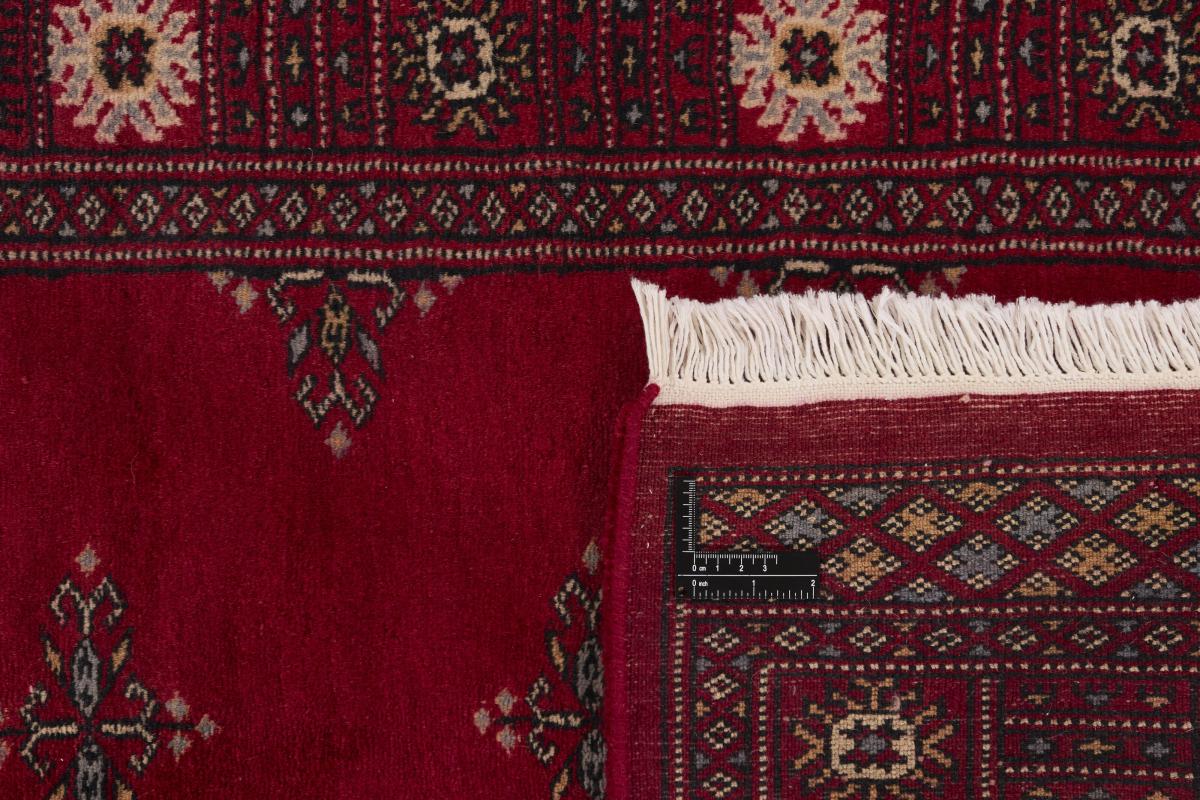 Pakistan Buchara 3ply - 1