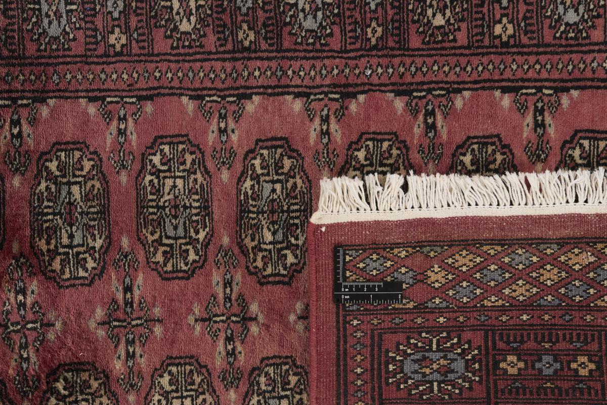 Pakistan Buchara 3ply - 1