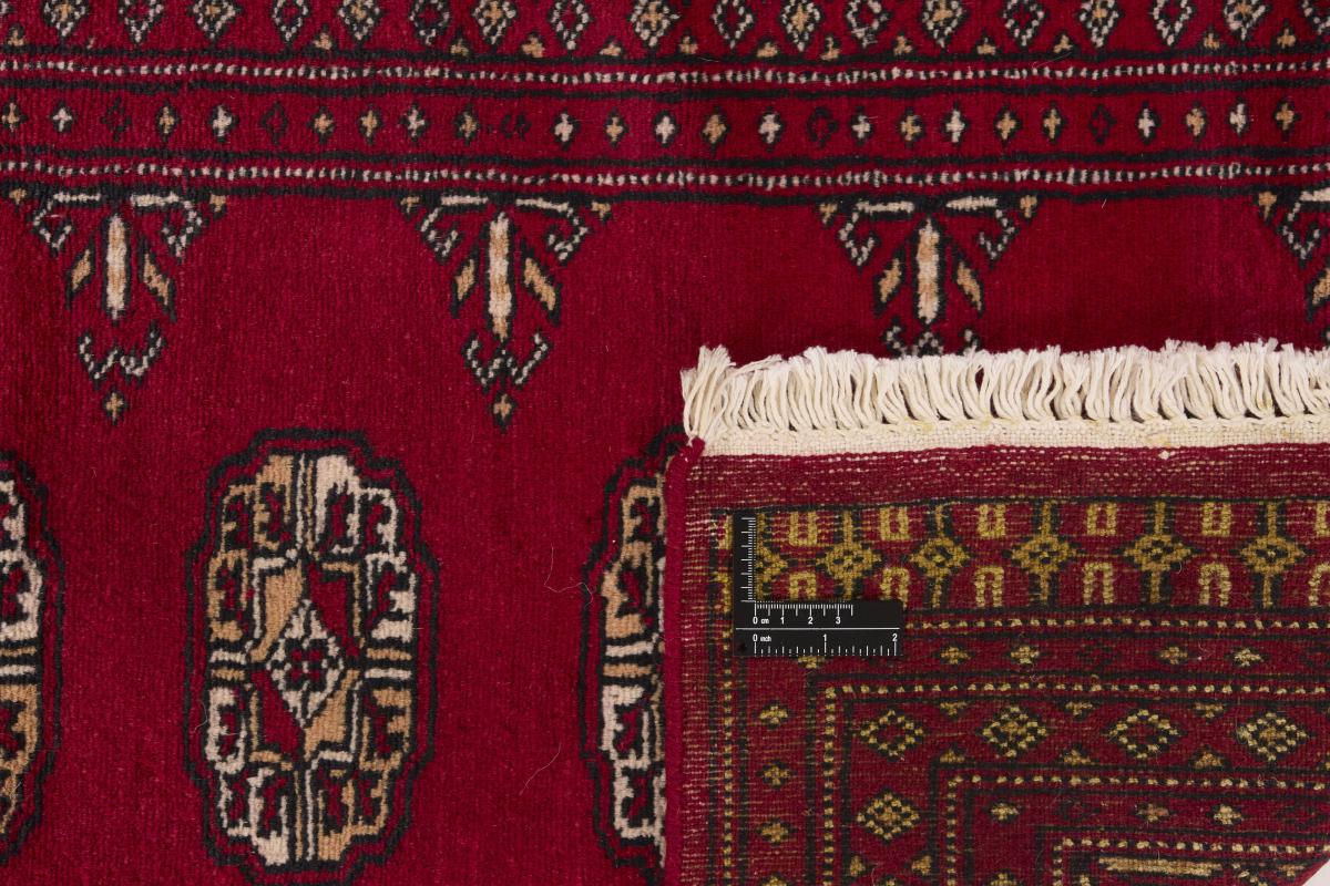 Pakistan Buchara 2ply - 1