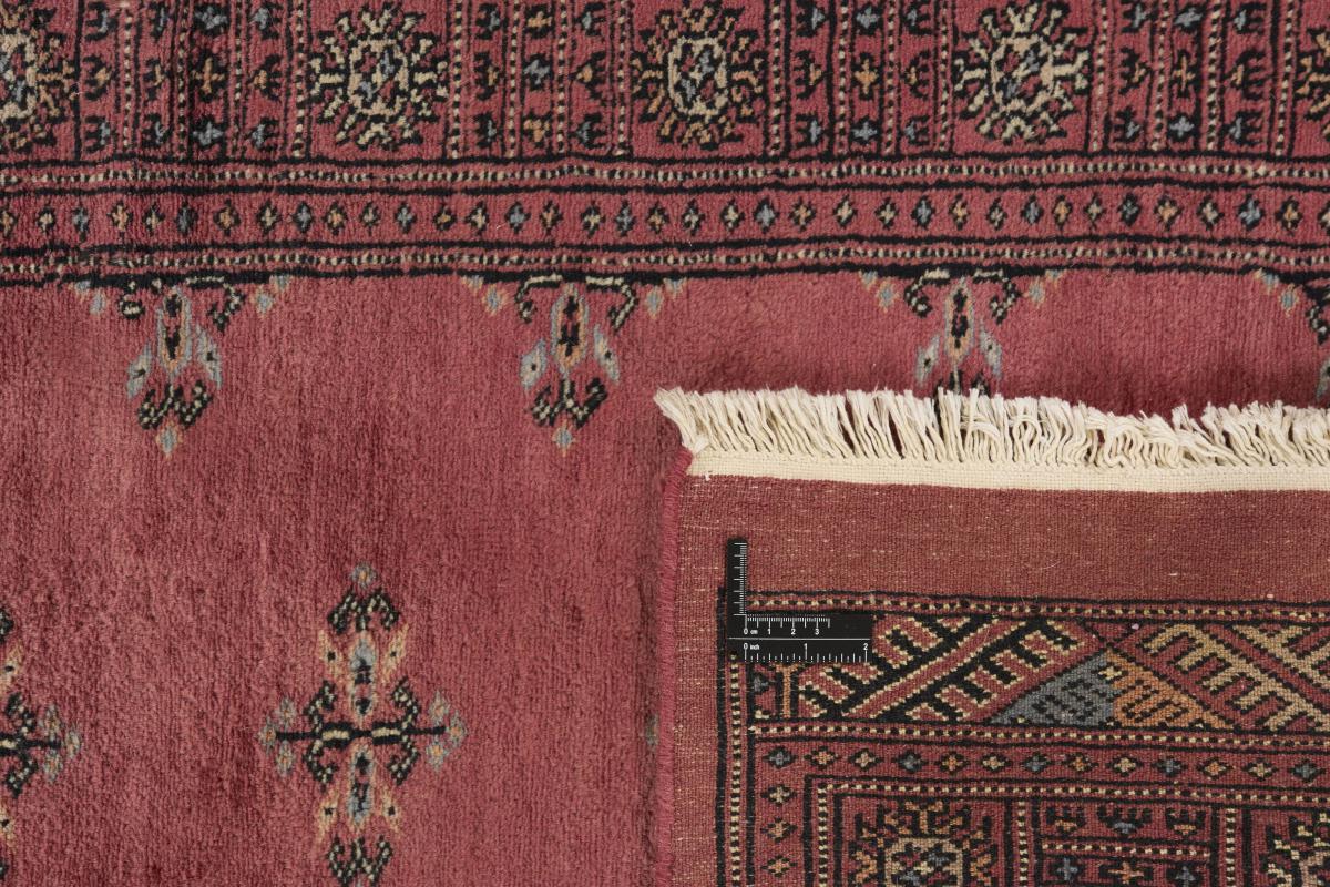 Pakistan Buchara 3ply - 1