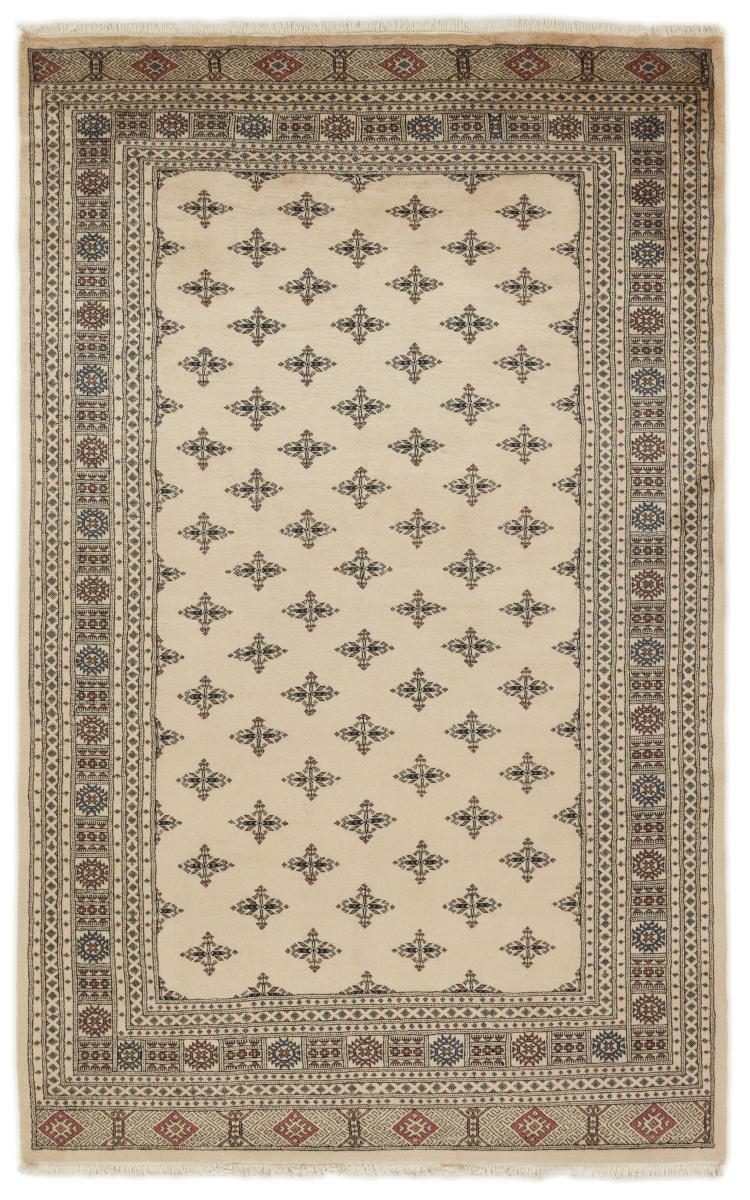 Dywan pakistański Pakistański Buchara 3ply 316x200 316x200, Dywan perski Ręcznie tkane