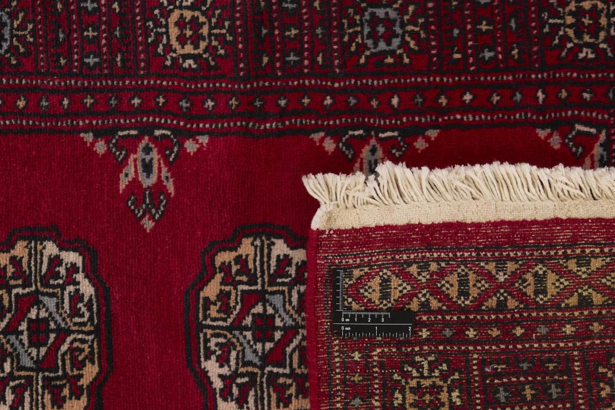 Pakistan Buchara 2ply - 1
