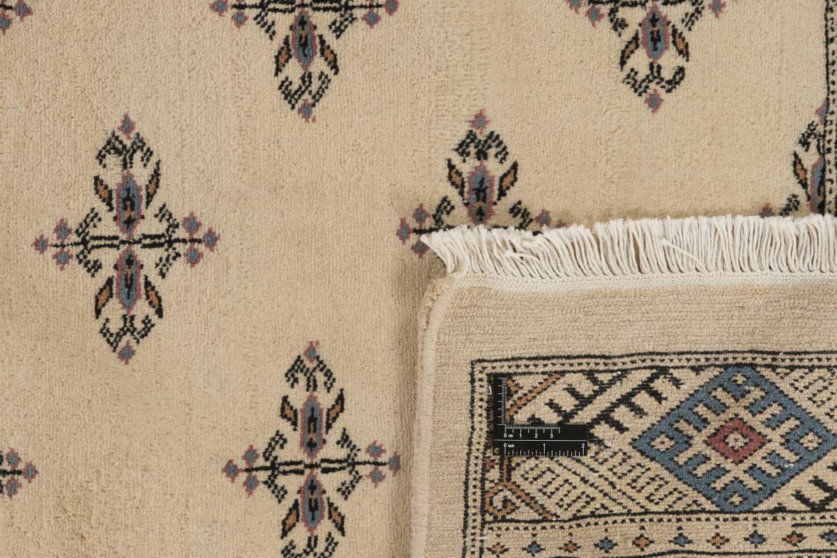 Pakistański Buchara 3ply - 1