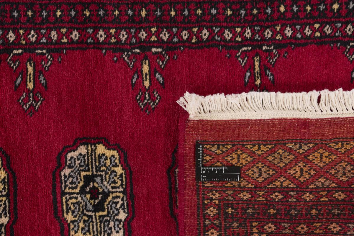 Pakistan Buchara 2ply - 1