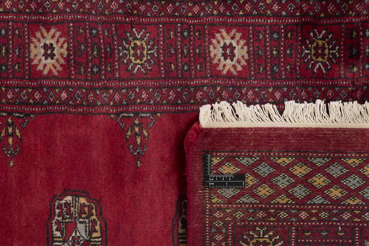 Pakistan Buchara 3ply - 1