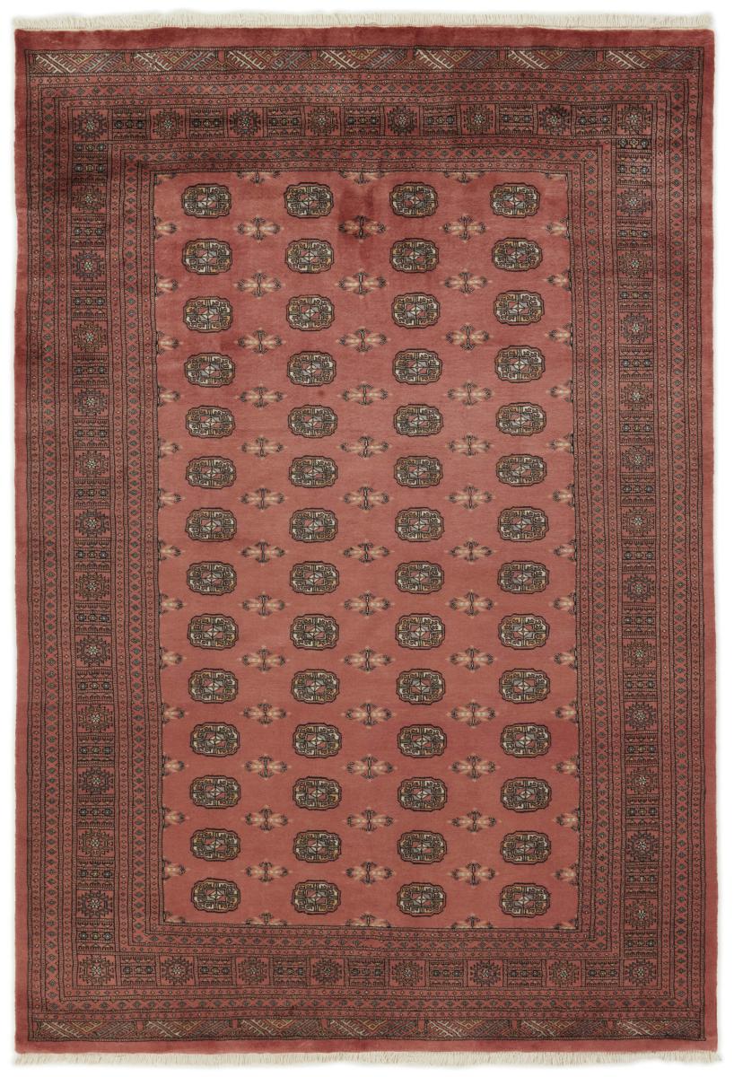 Dywan pakistański Pakistański Buchara 3ply 297x201 297x201, Dywan perski Ręcznie tkane