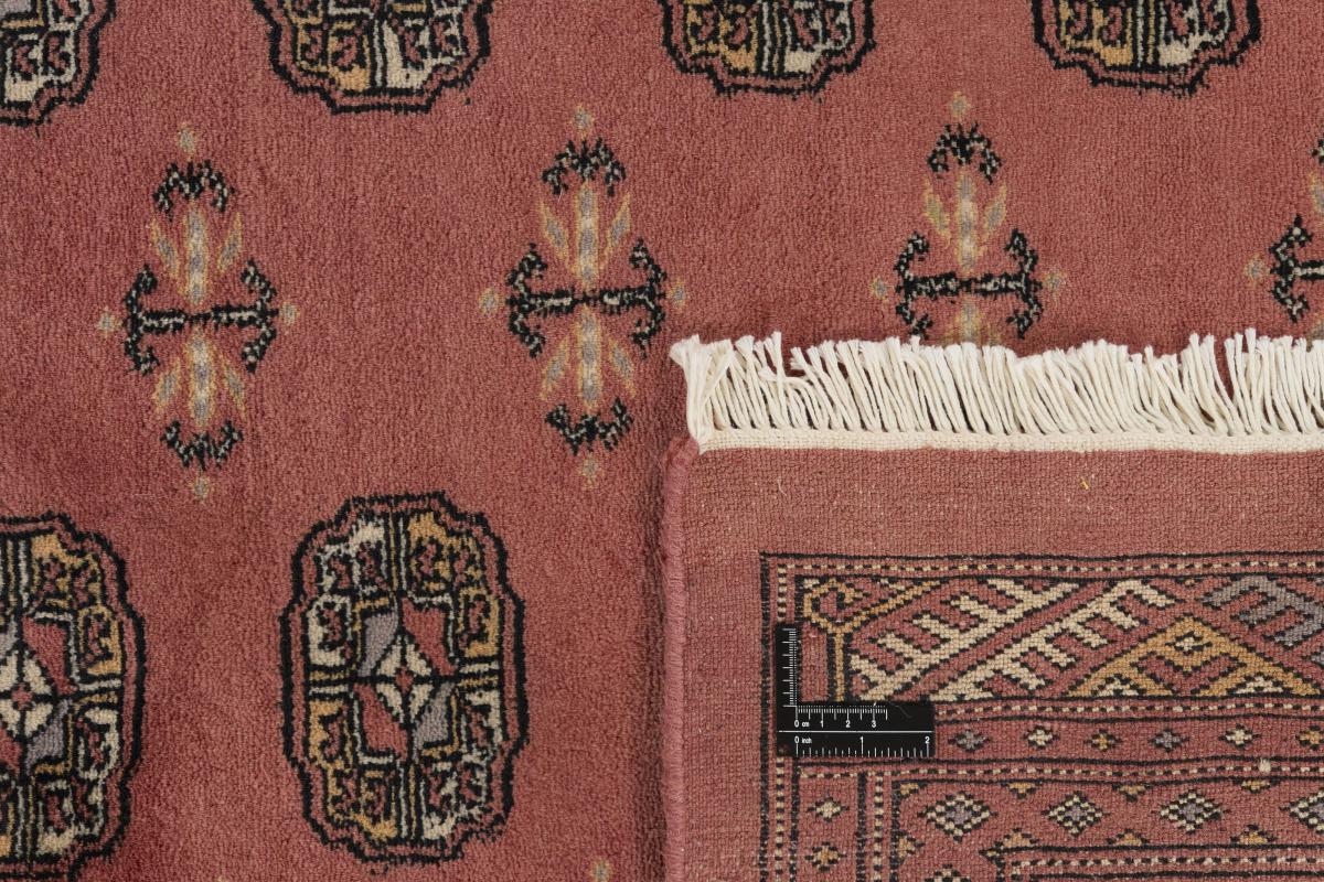 Pakistański Buchara 3ply - 1