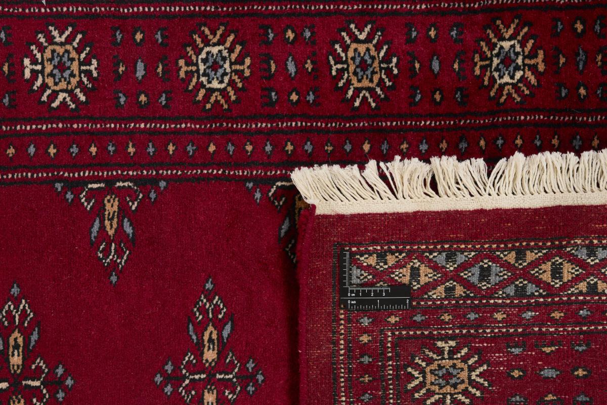 Pakistan Buchara 3ply - 1