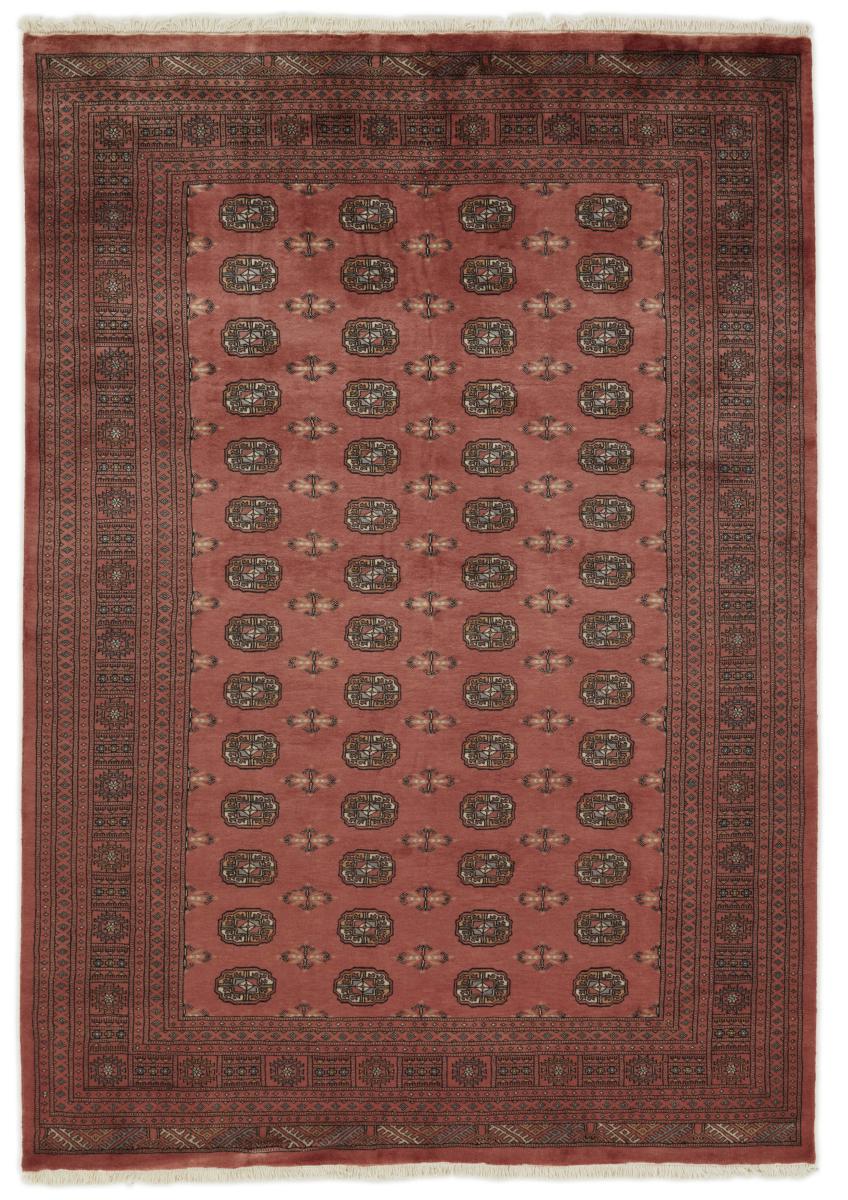 Dywan pakistański Pakistański Buchara 3ply 286x202 286x202, Dywan perski Ręcznie tkane