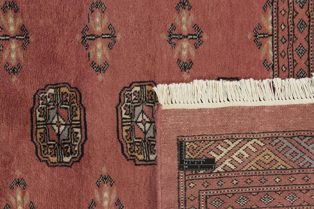 Pakistański Buchara 3ply - 1