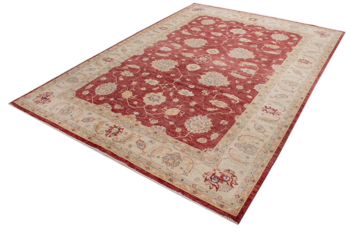 Ziegler Farahan - 1