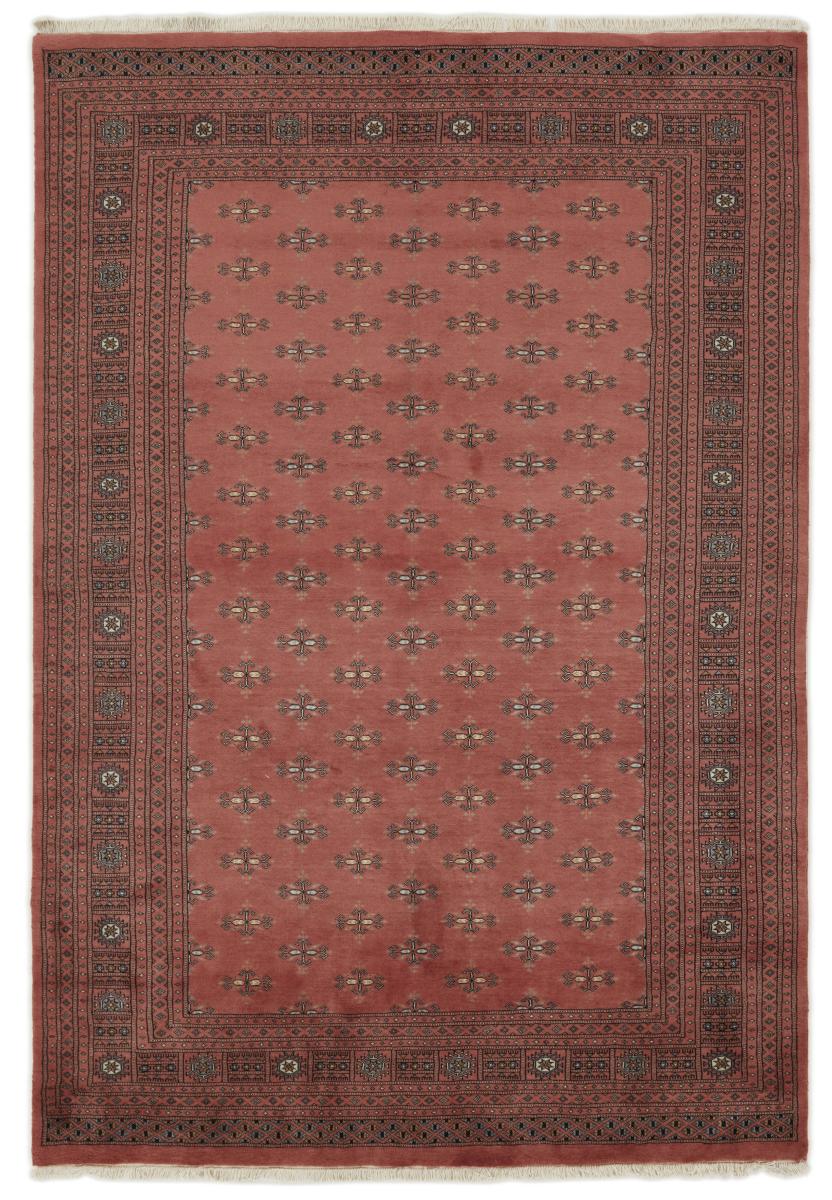 Dywan pakistański Pakistański Buchara 3ply 296x203 296x203, Dywan perski Ręcznie tkane