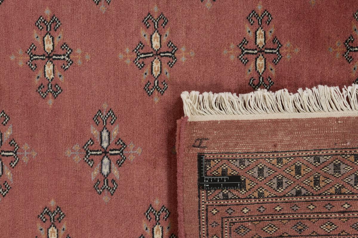 Pakistański Buchara 3ply - 1