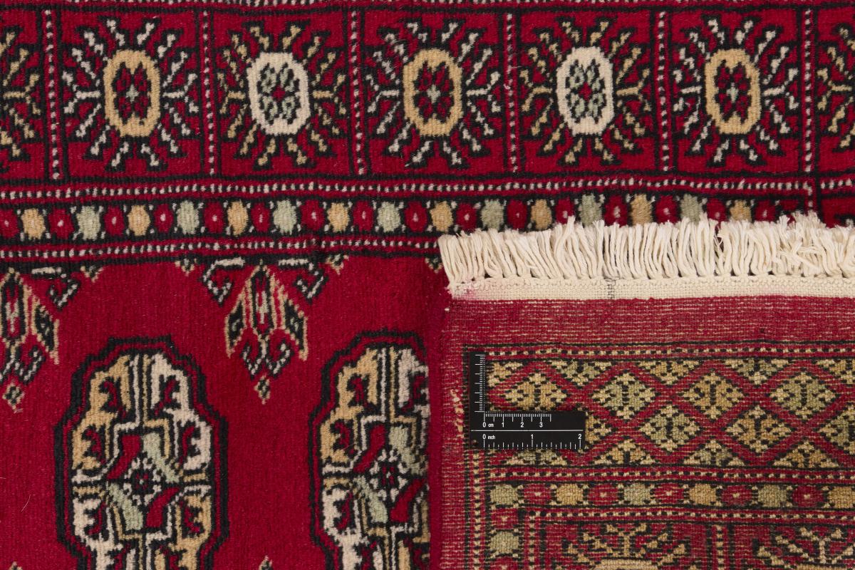 Pakistan Buchara 2ply - 1