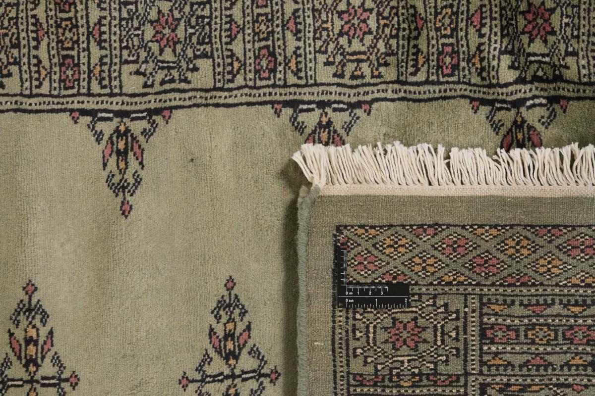 Pakistan Buchara 3ply - 1