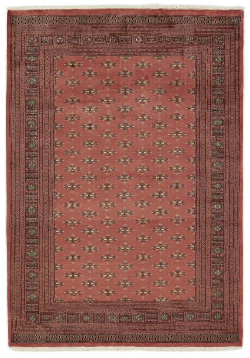 Dywan pakistański Pakistański Buchara 3ply 291x204 291x204, Dywan perski Ręcznie tkane