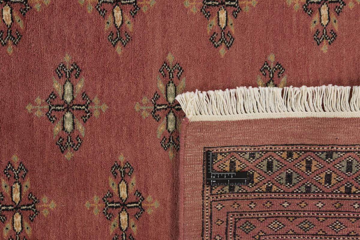 Pakistański Buchara 3ply - 1