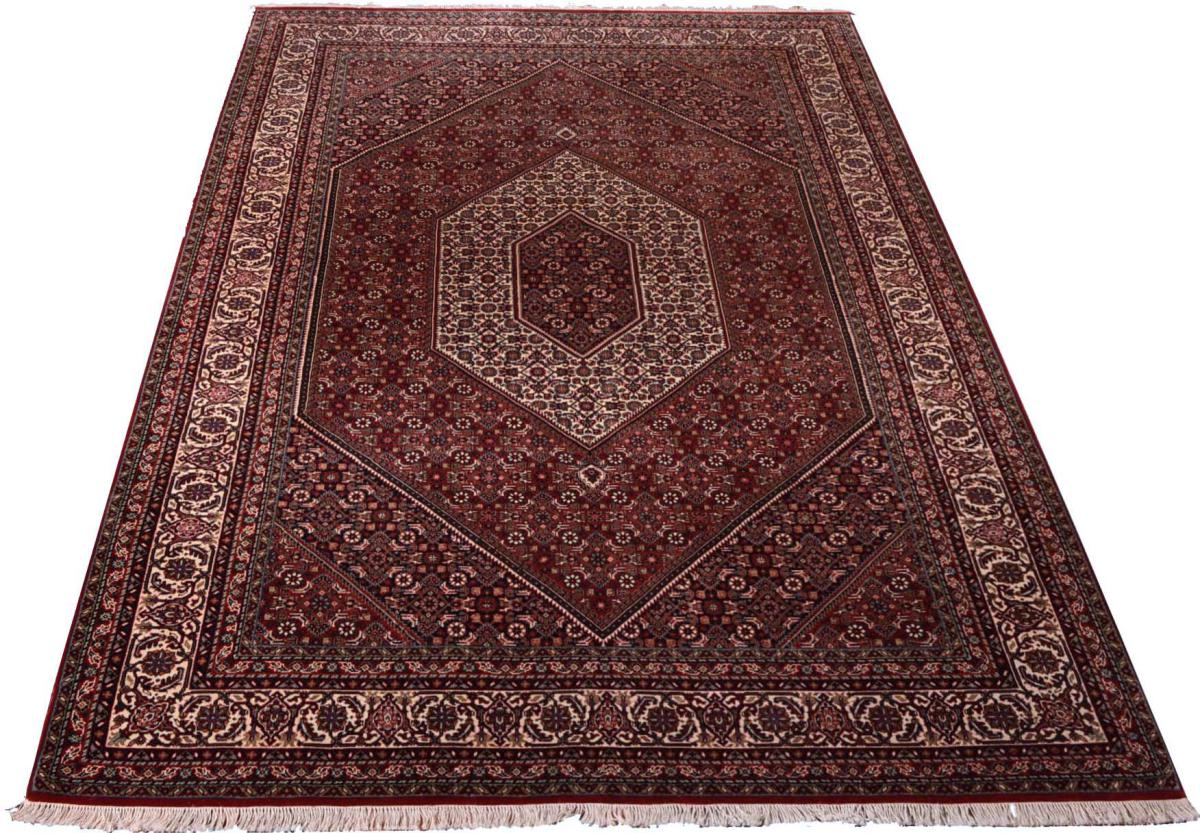 Indo Bidjar - 1