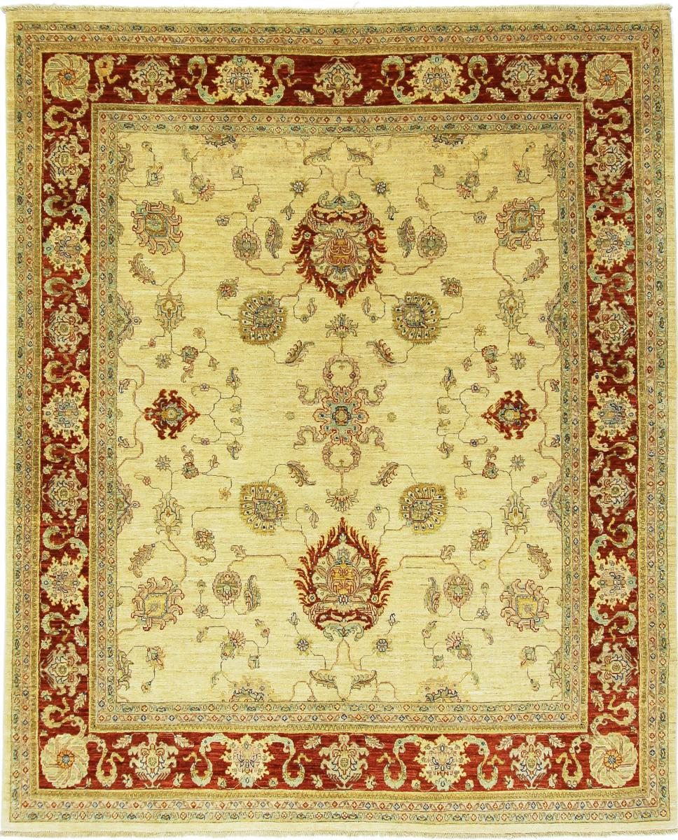 Tapis afghan Arijana Ziegler Farahan 244x197 244x197, Tapis persan Noué à la main
