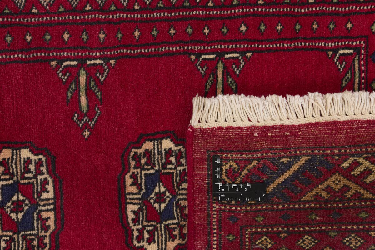 Pakistan Buchara 2ply - 1