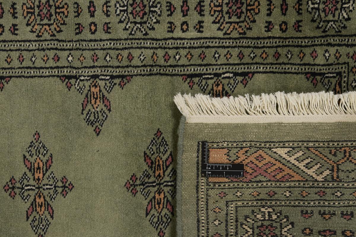 Pakistan Buchara 3ply - 1