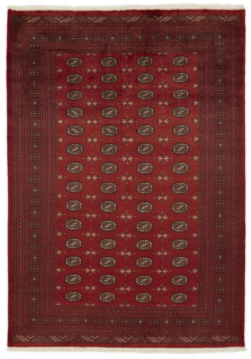 Dywan pakistański Pakistański Buchara 3ply 286x200 286x200, Dywan perski Ręcznie tkane