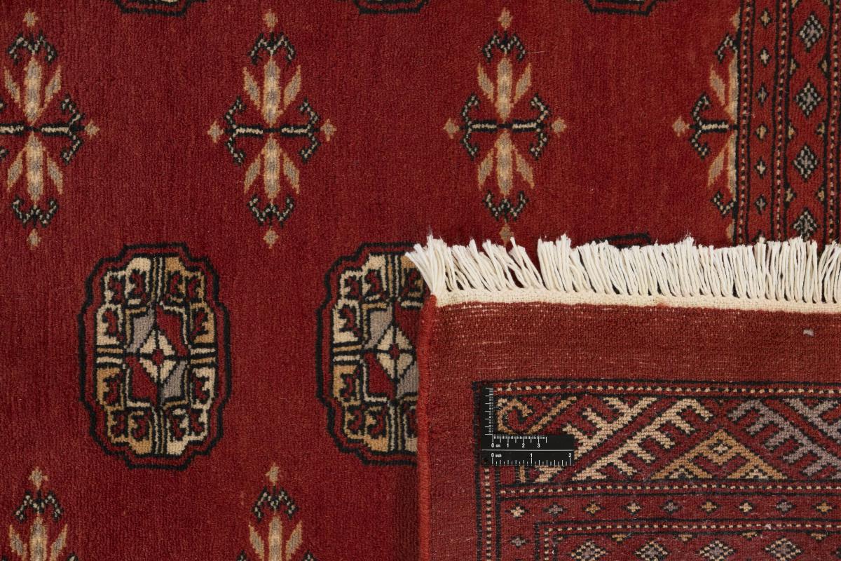 Pakistański Buchara 3ply - 1