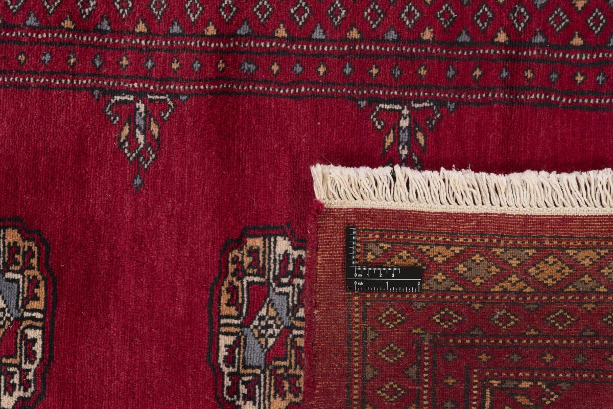 Pakistan Buchara 2ply - 1