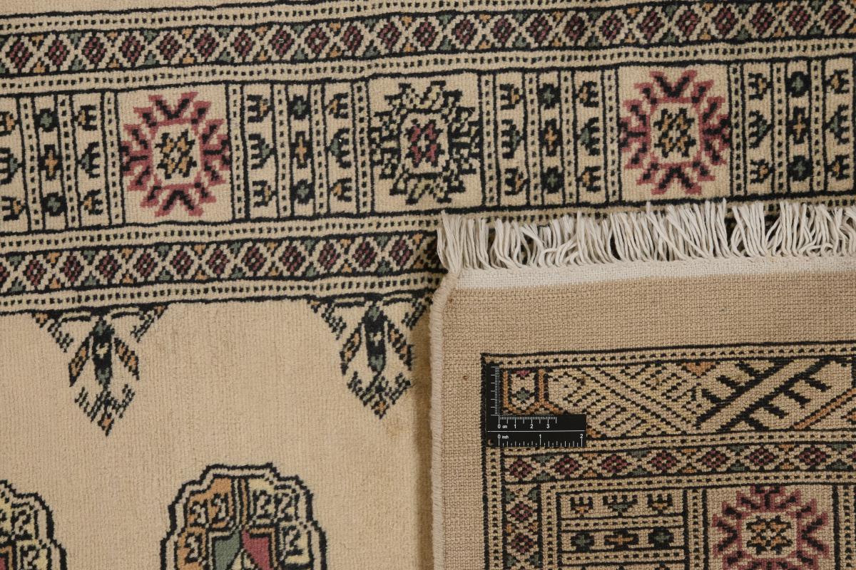 Pakistan Buchara 3ply - 1