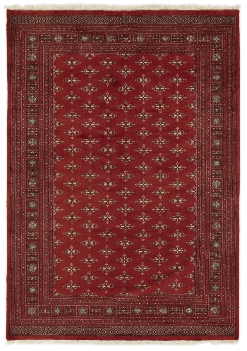 Dywan pakistański Pakistański Buchara 3ply 288x200 288x200, Dywan perski Ręcznie tkane