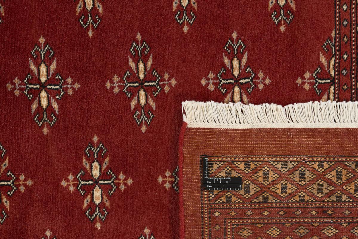 Pakistański Buchara 3ply - 1