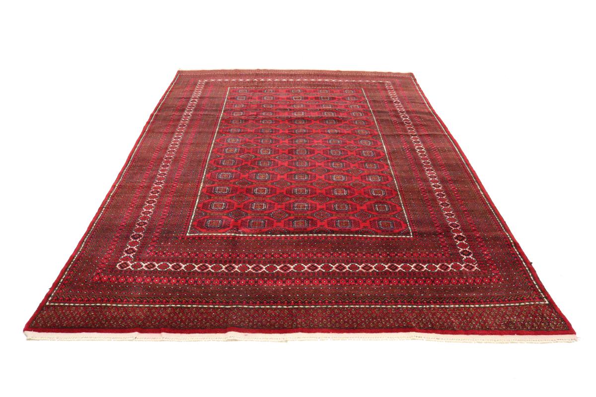 Turkaman Old - 1