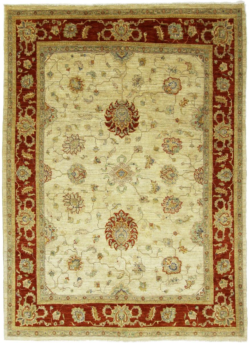 Afghansk tæppe Arijana Ziegler Farahan 247x175 247x175, Persisk tæppe Knyttet i hånden