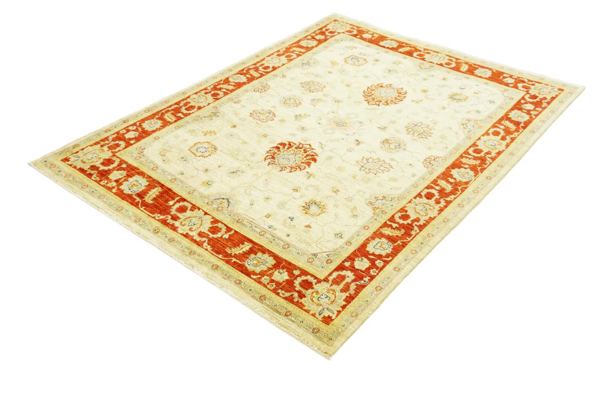 Arijana Ziegler Farahan - 1